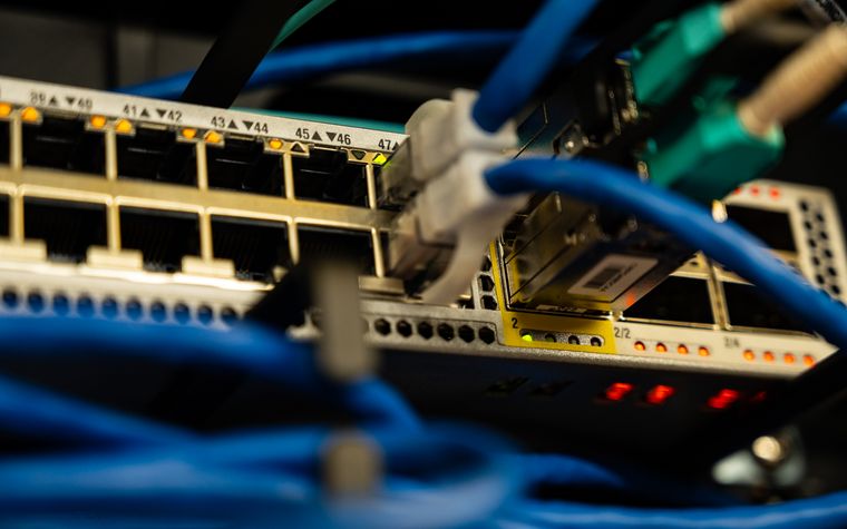 Ethernet cables plugged into a network switch